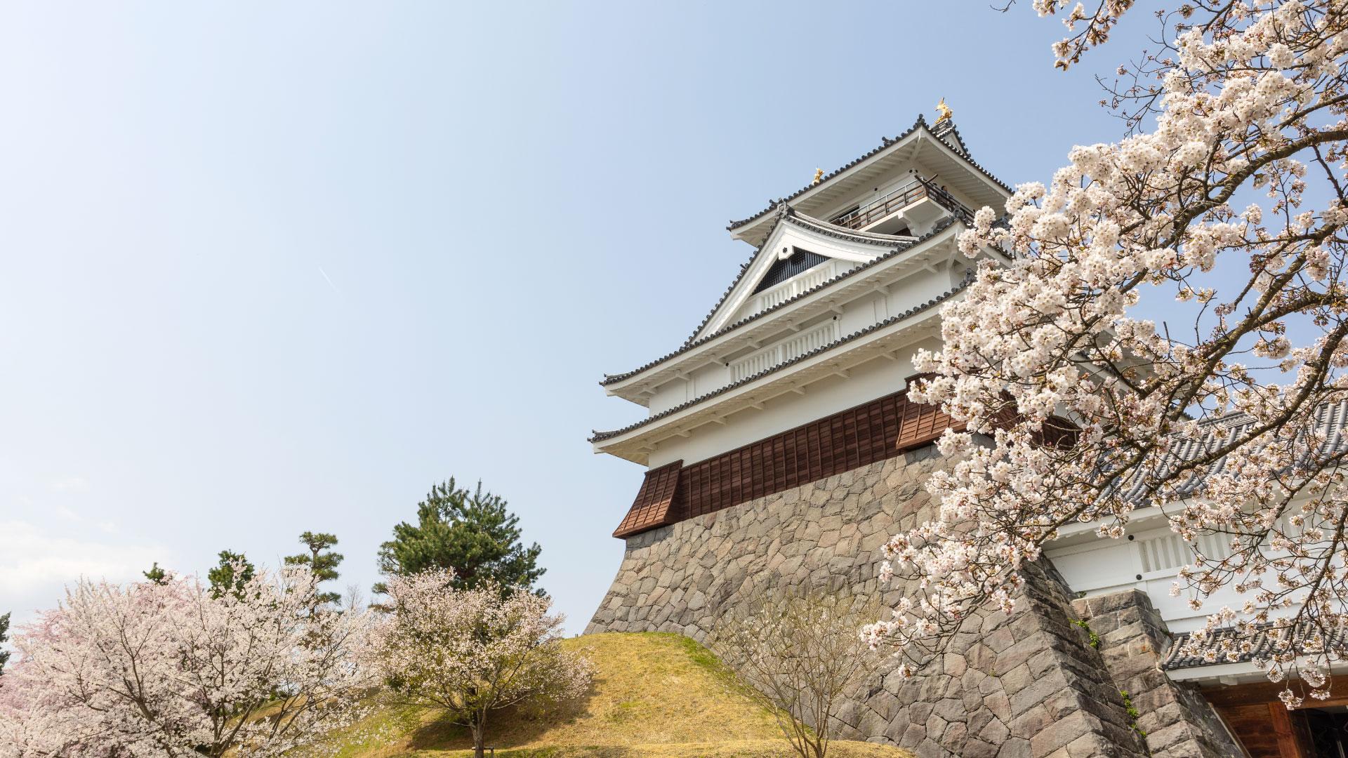 かみのやま温泉銘菓						蔵王山を望むみちのく上山の地から